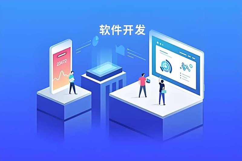 企业软件定制开发案例分析：如何破解业务难题